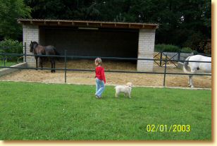 Marlon 10 Wochen mit Nuala und AFK 004.jpg